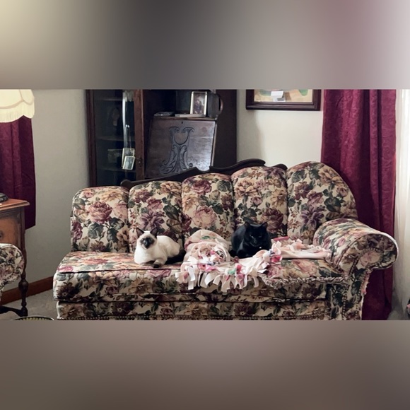 Meet your Posher, Hailey - Picture 12 of 16